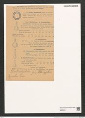 Grammatophora epsilon Grun. (de-Toni-Nr.: Genus 93, Species 3059) Zeichnungen Sammlung Grunow (NHMW-BOT-W0374774)
